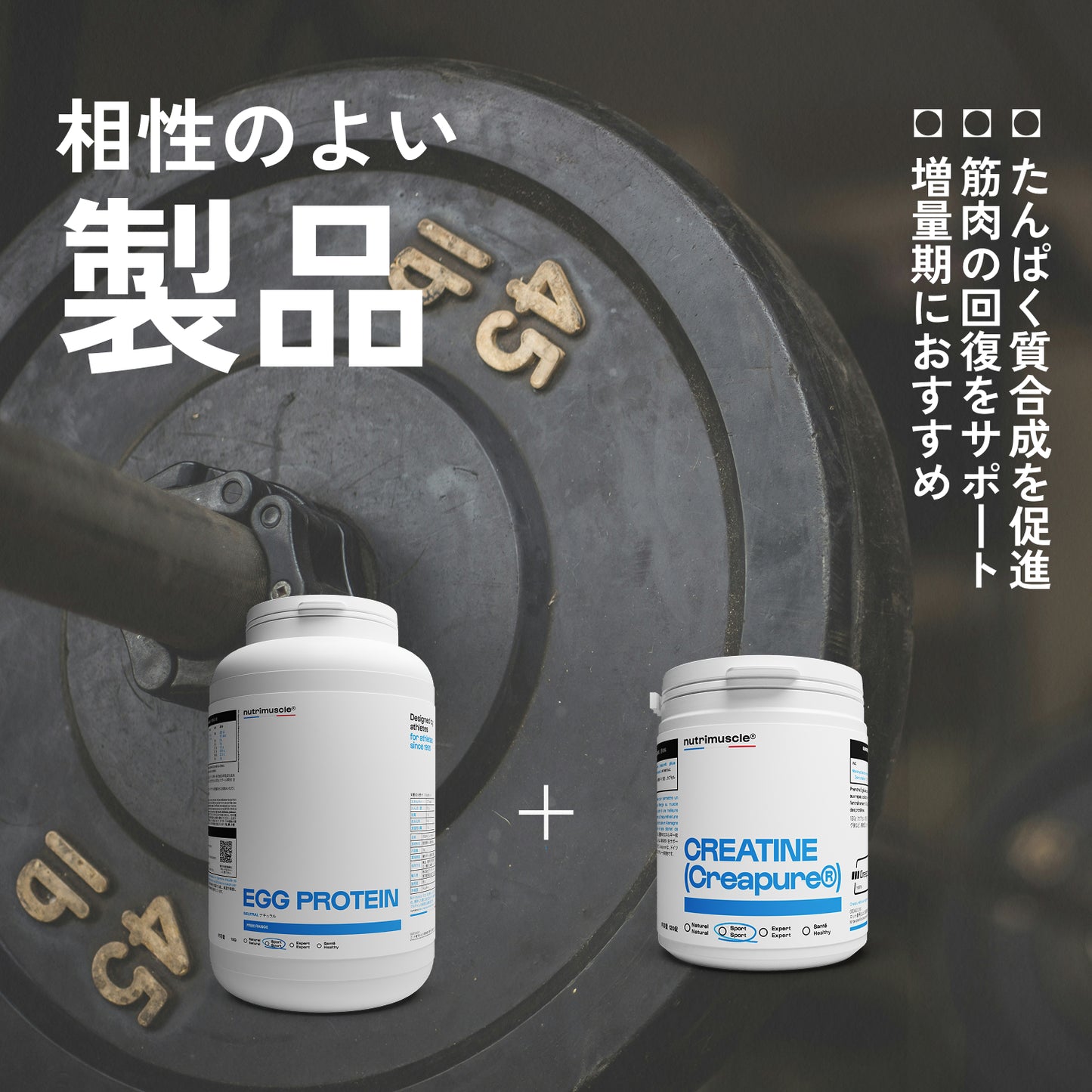 エッグ プロテイン パウダー