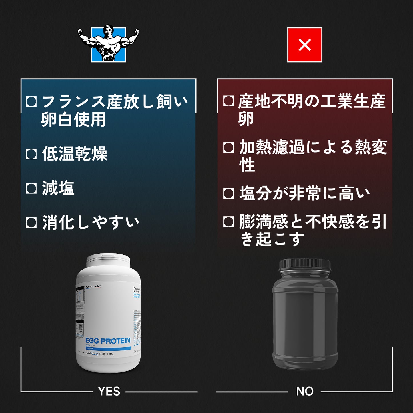 エッグ プロテイン パウダー