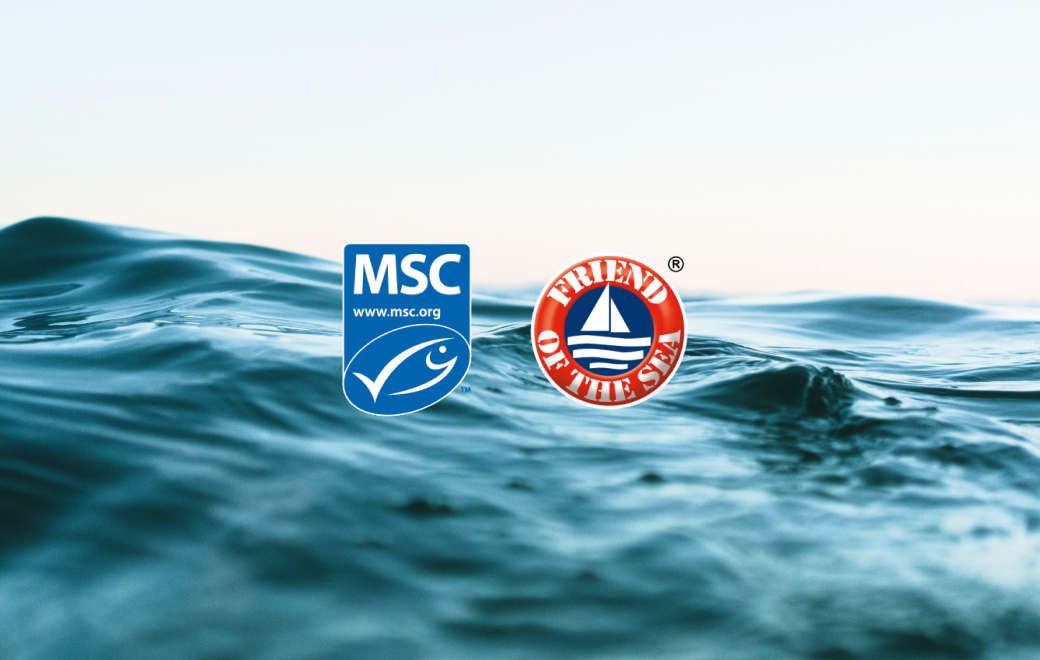 海洋性コラーゲンは本当に安全？効果とリスクを正しく知るための基礎知識