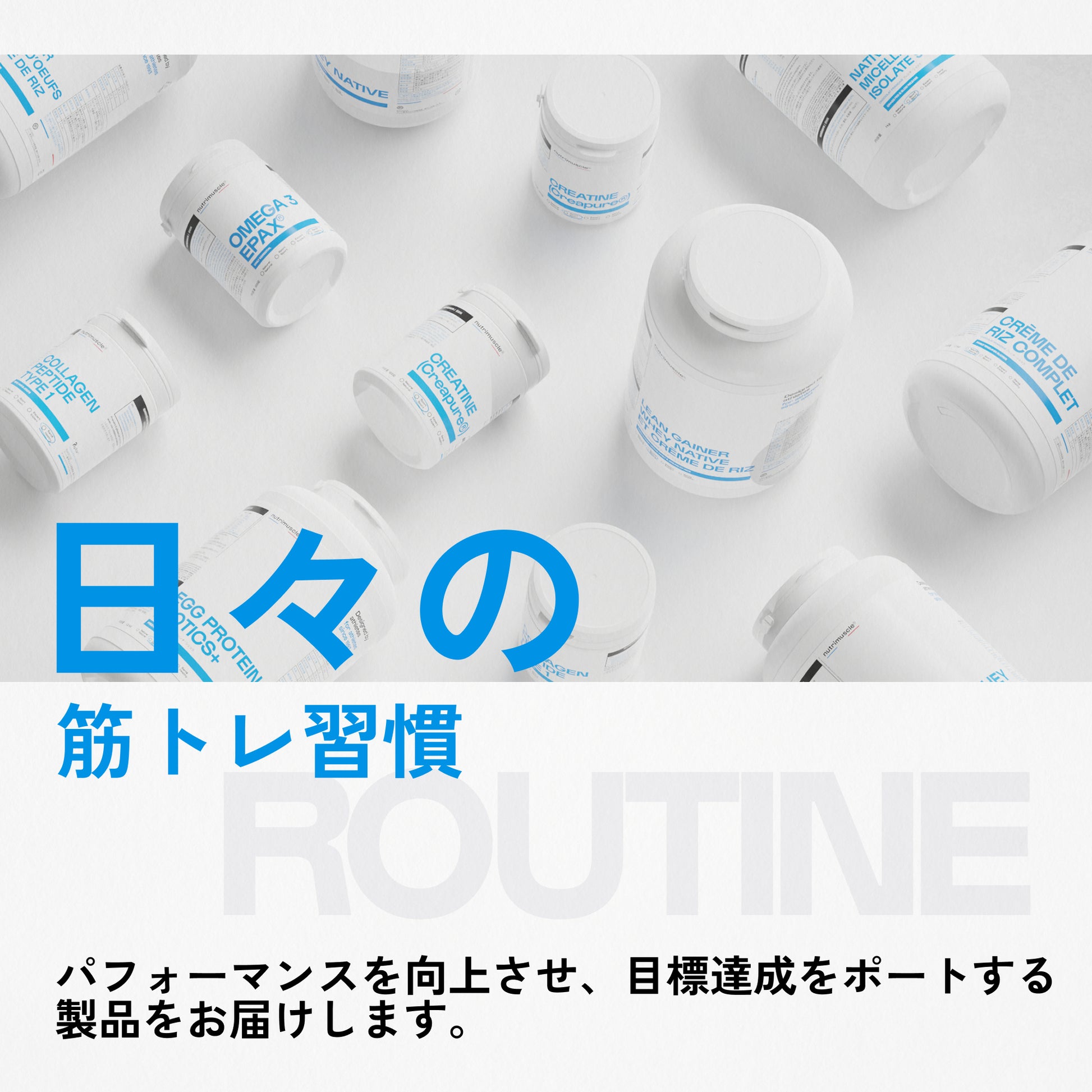 L-カルニチン（Carnipure®）カプセル