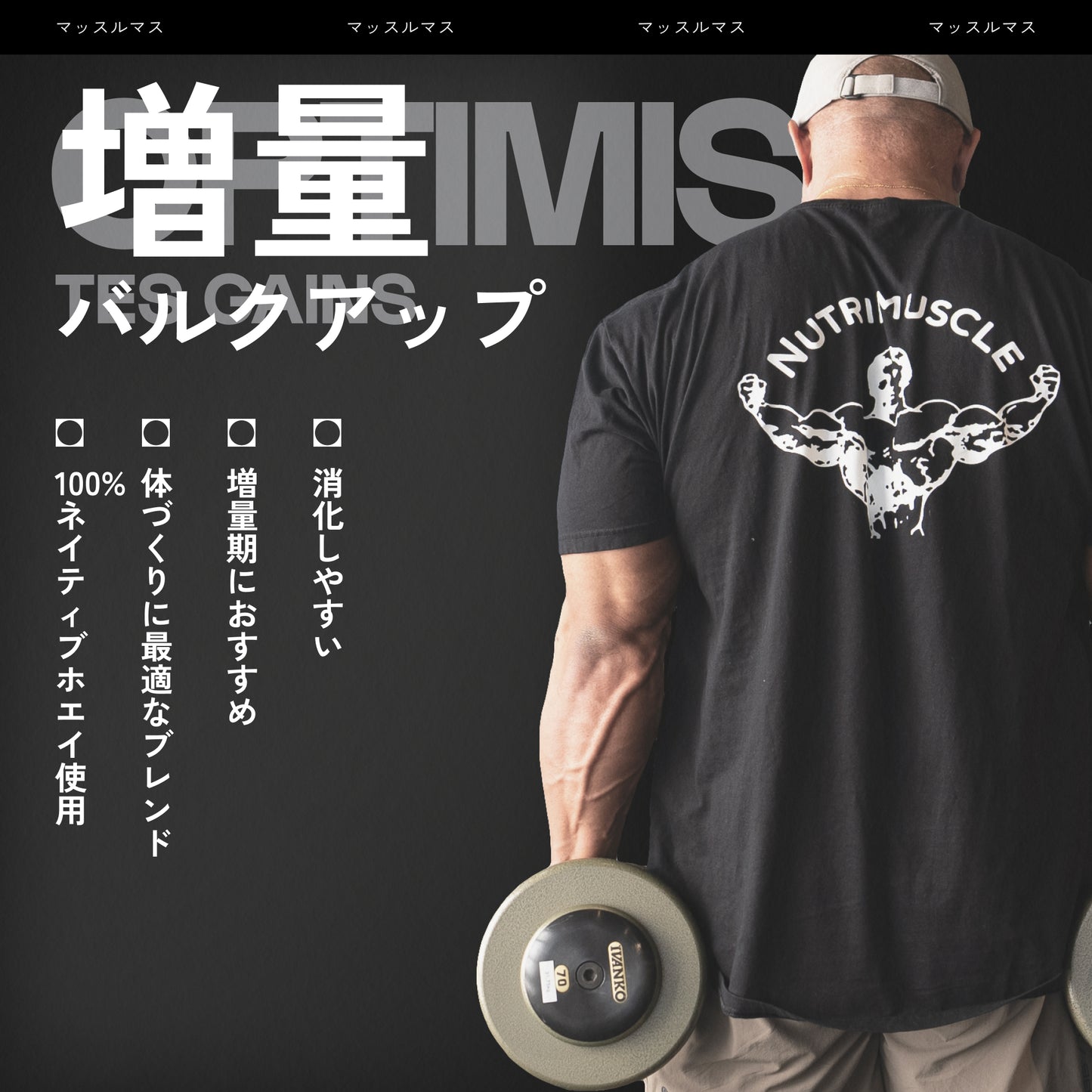 マッスルマス（ハードゲイナー）
