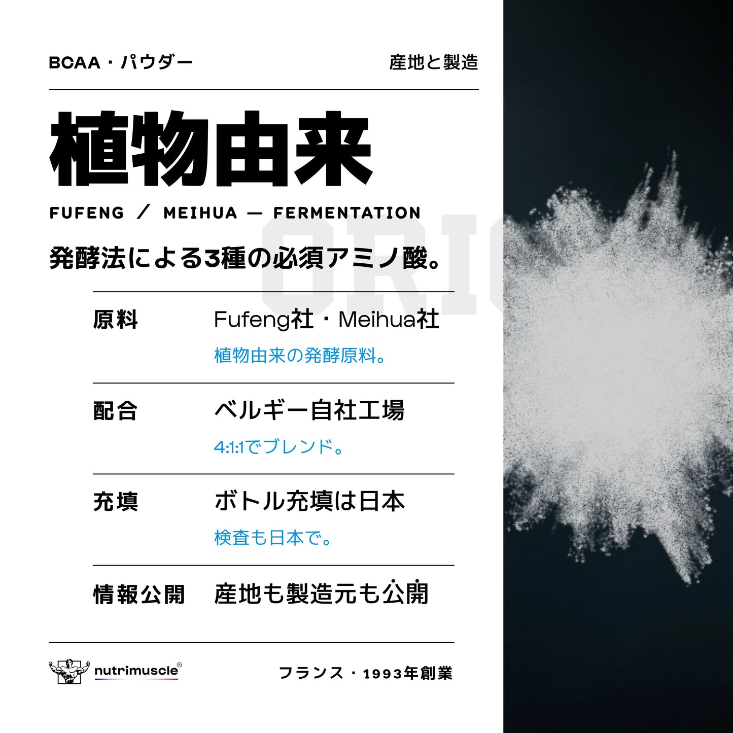 BCAA 4.1.1 パウダー
