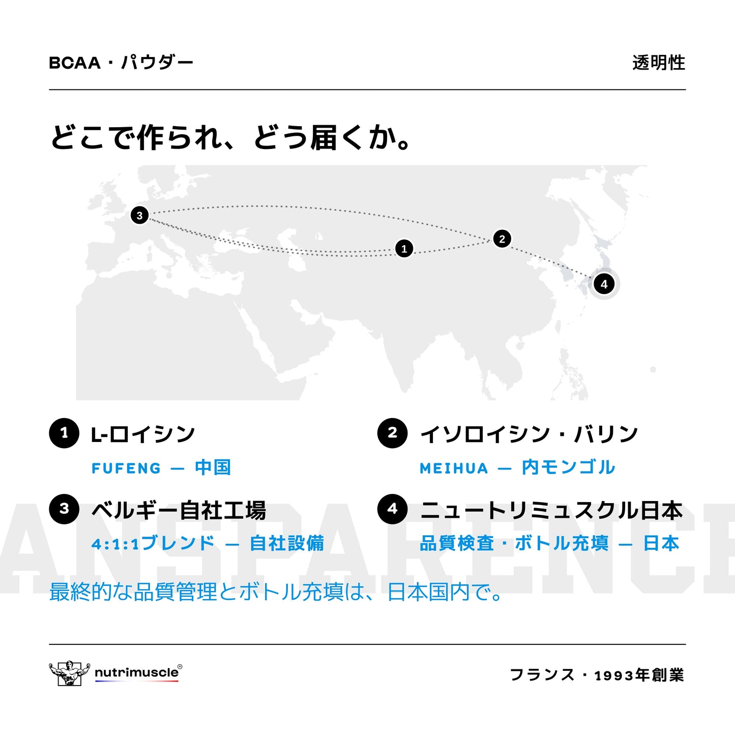 BCAA 4.1.1 パウダー