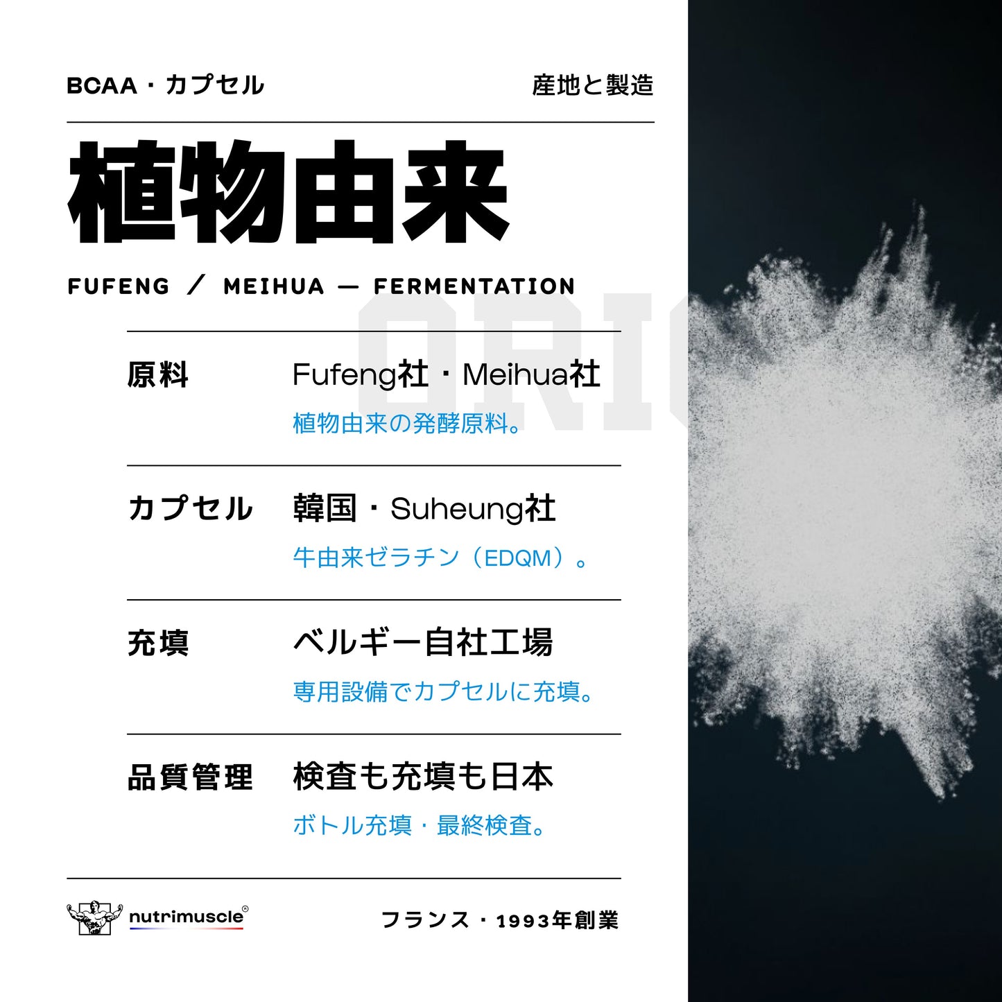 BCAA 4.1.1 カプセル