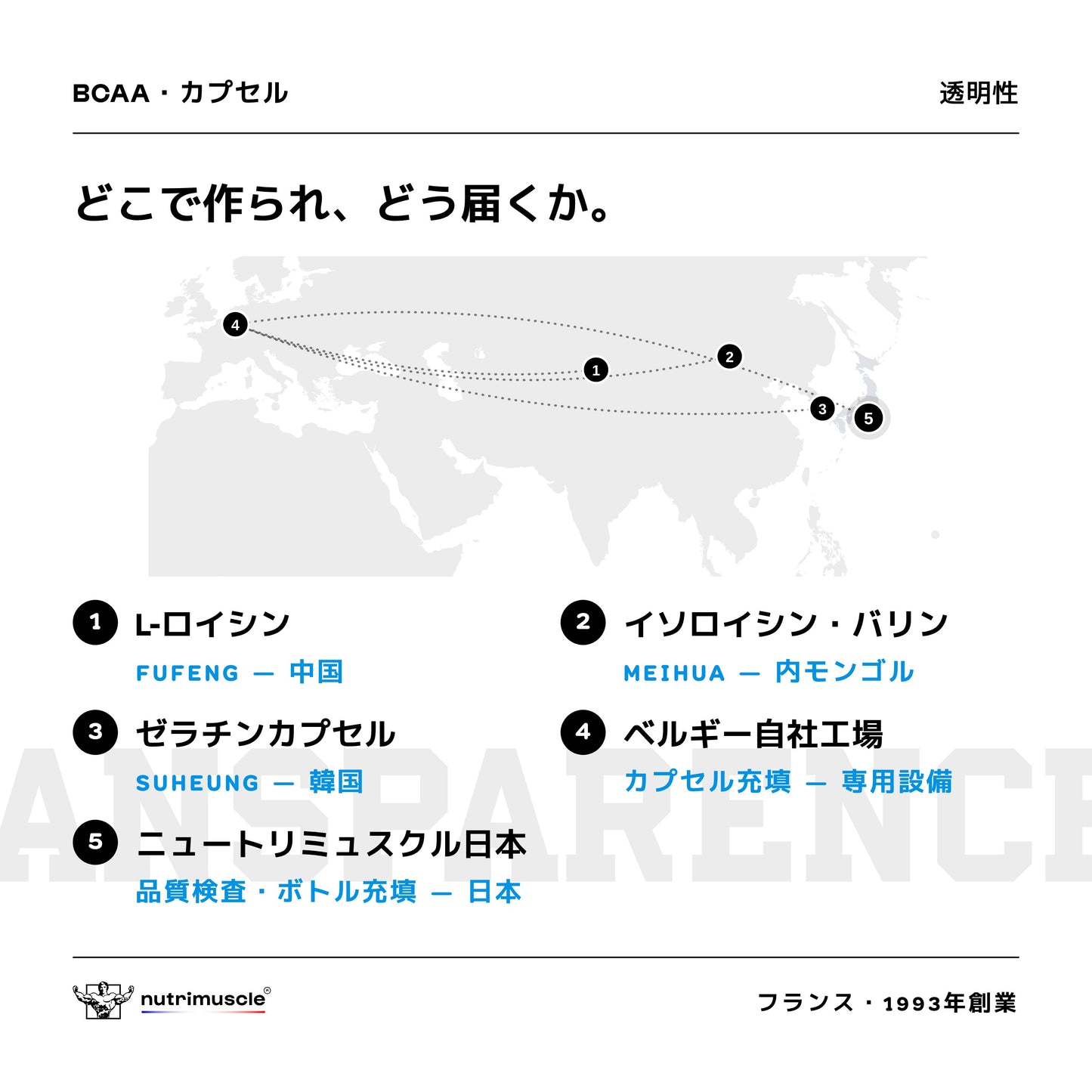 BCAA 4.1.1 カプセル
