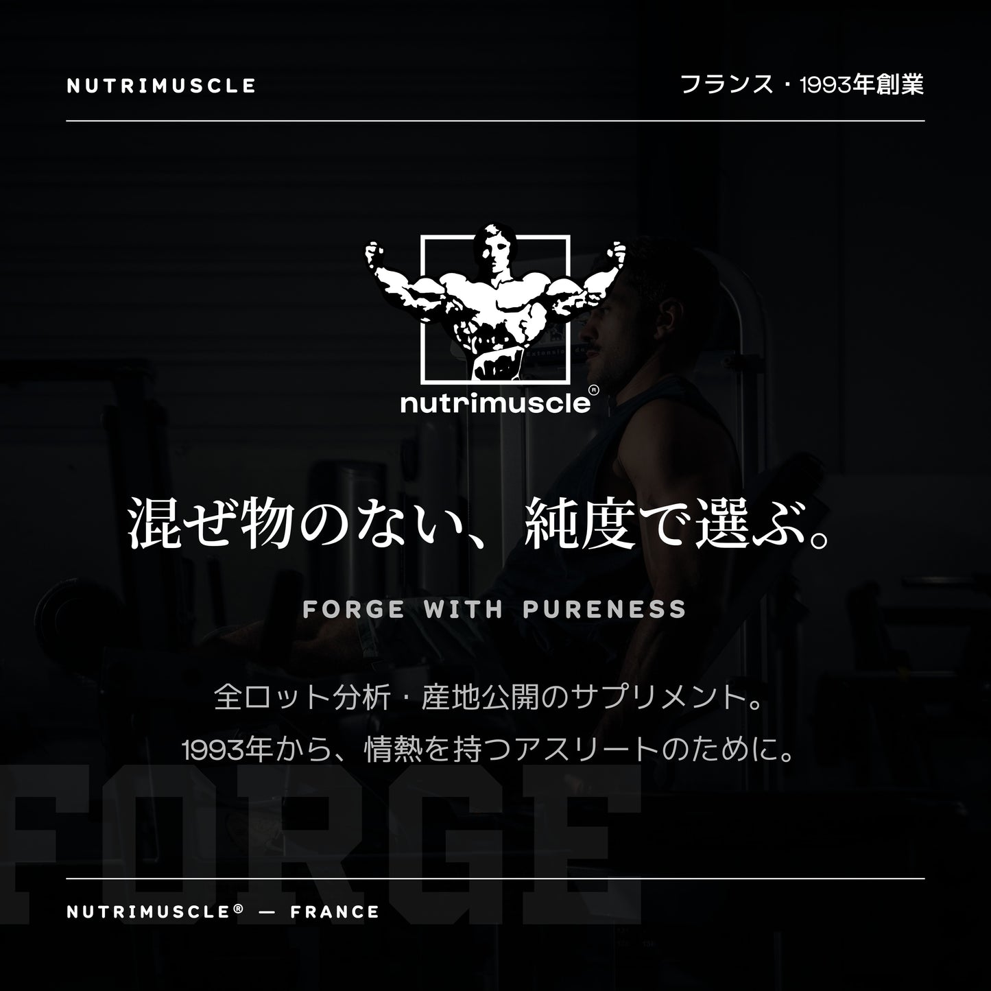 クリームオブライス（玄米パウダー）