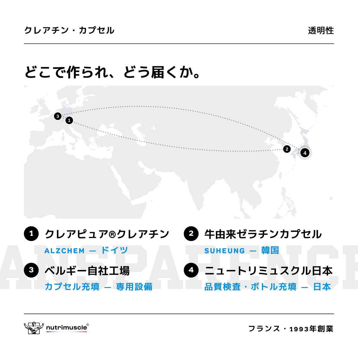 クレアチン （クレアピュア®） カプセルタイプ - ニュートリミュスクル Japan