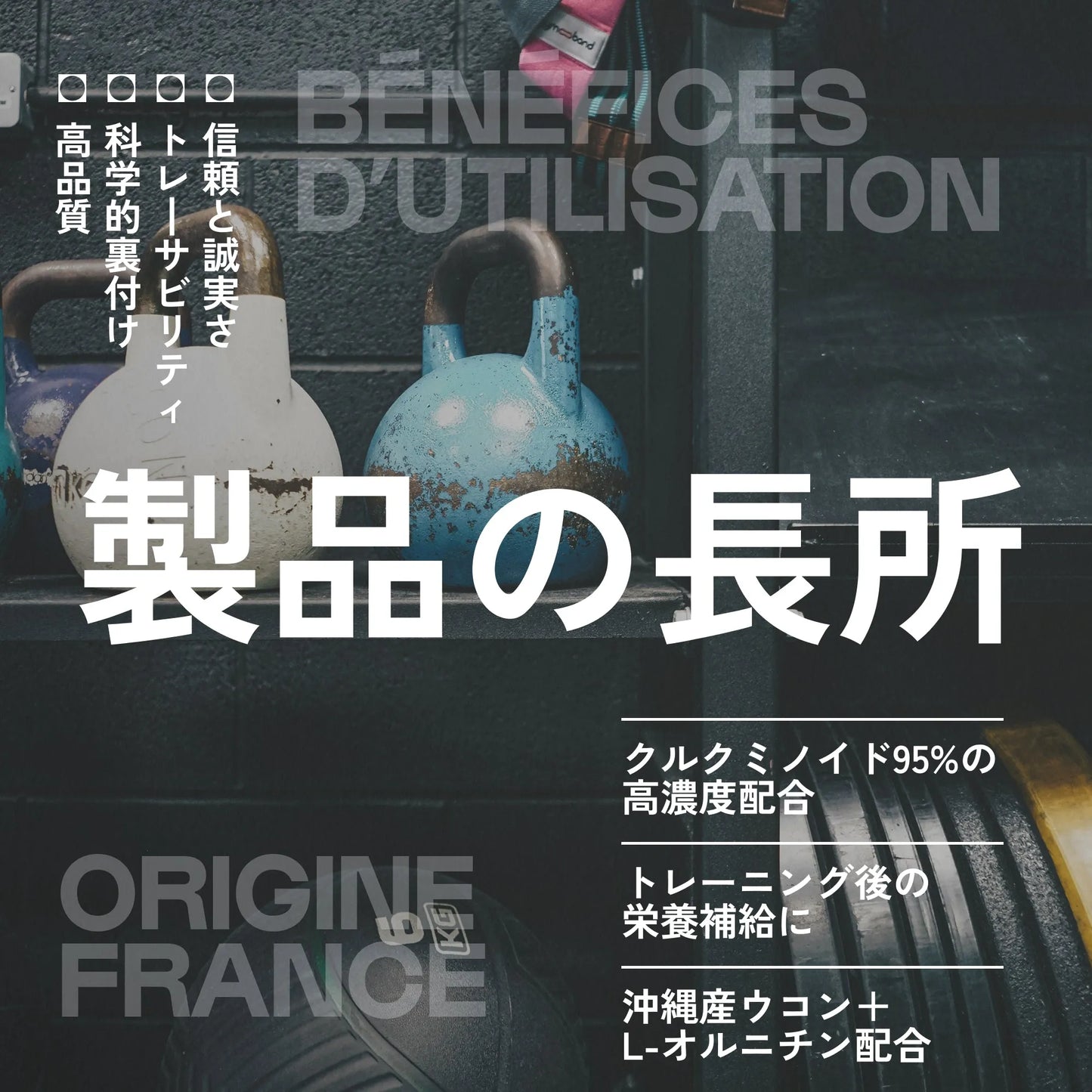 クルクミン（沖縄産ウコン × UkonMAX®） — 製品特徴・品質へのこだわり（2）｜Nutrimuscle