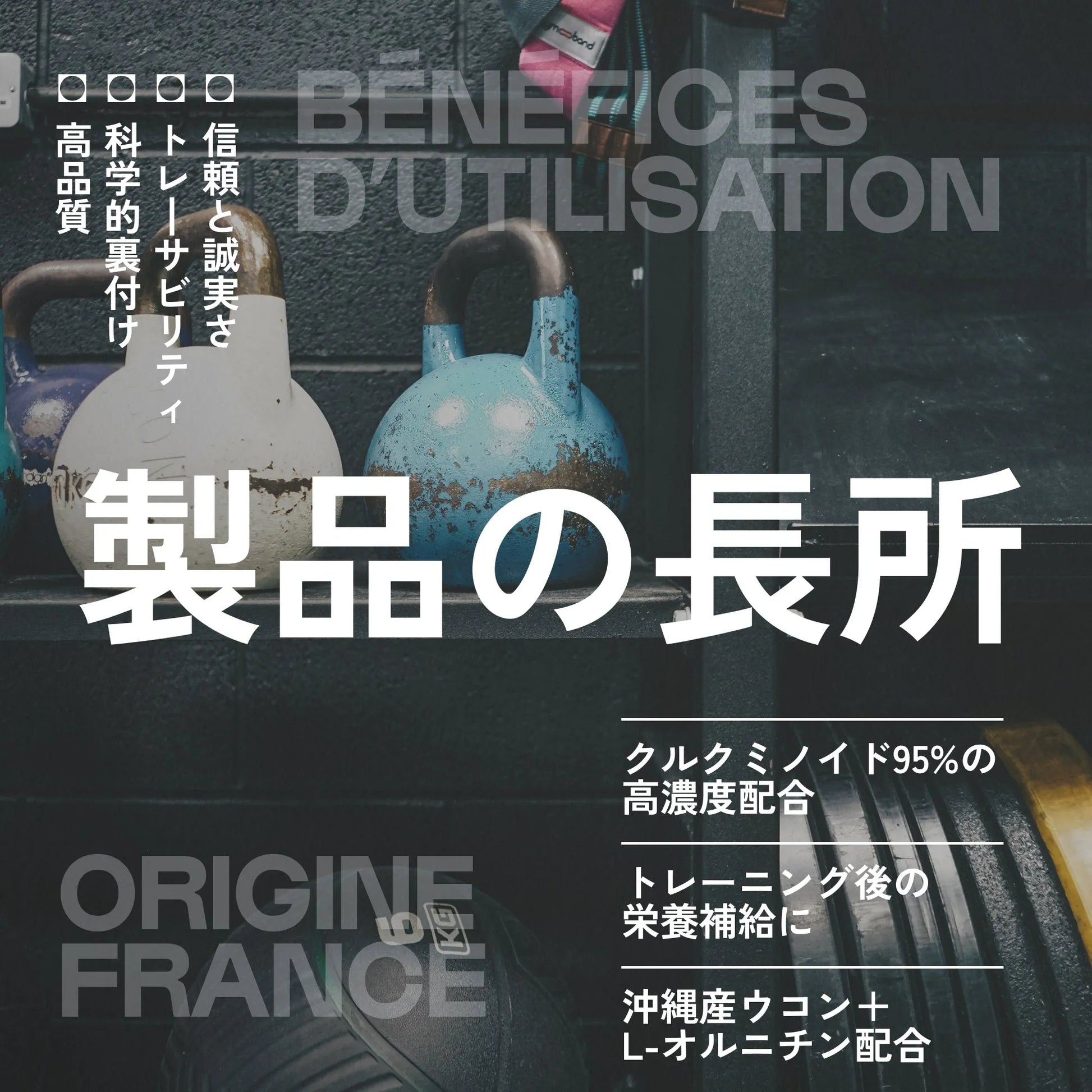 クルクミン（沖縄産ウコン × UkonMAX®） — 製品特徴・品質へのこだわり（2）｜Nutrimuscle