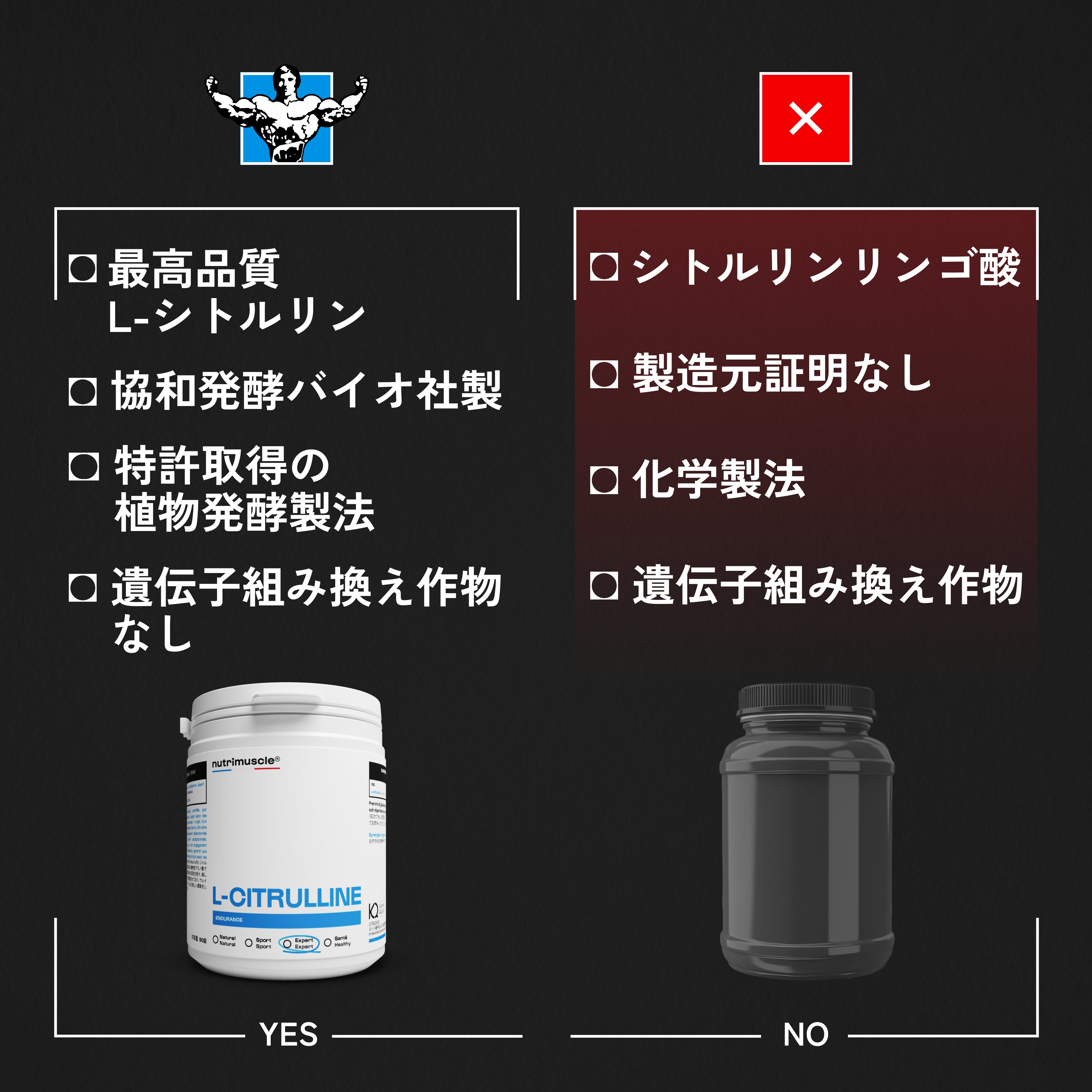 NICHIGA(ニチガ)Yahoo!店 - L-シトルリン（L-Citrulline