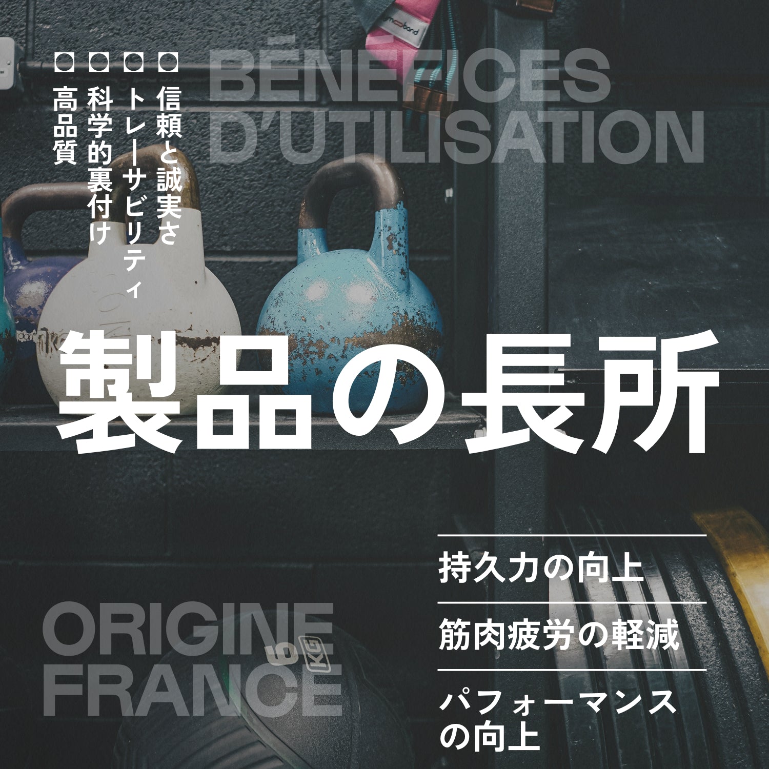 コラーゲンペプチド パウダー｜ペプタン®Ⅰ型・低分子 – Nutrimuscle Japan
