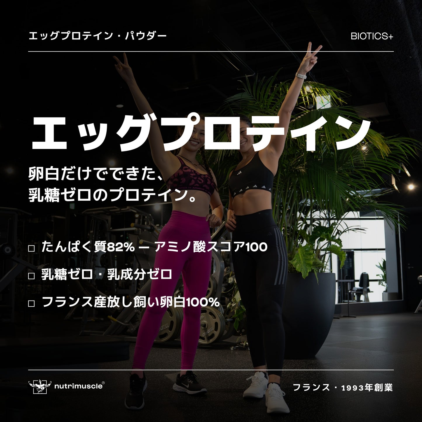 エッグ プロテイン パウダー