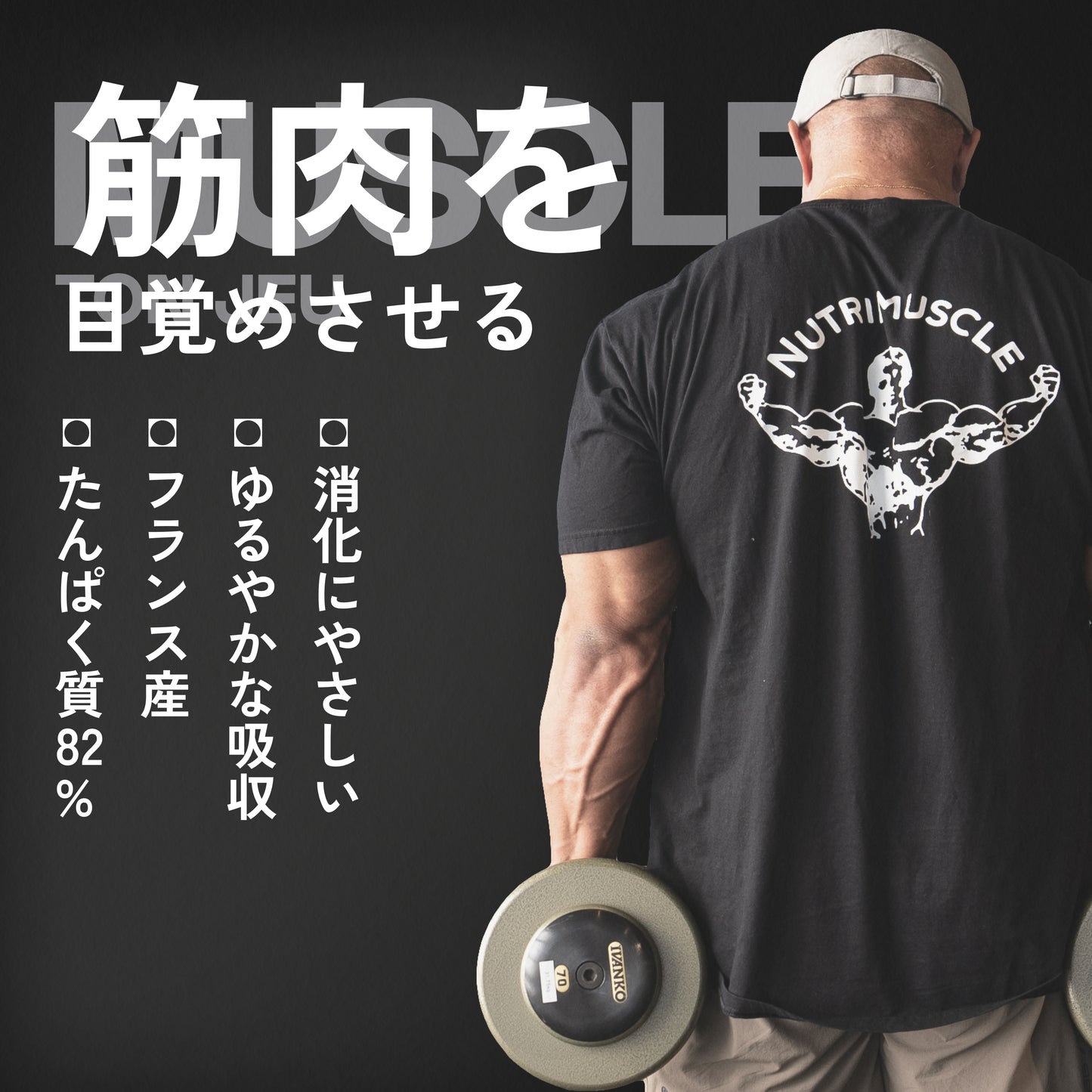 エッグプロテインパウダー
