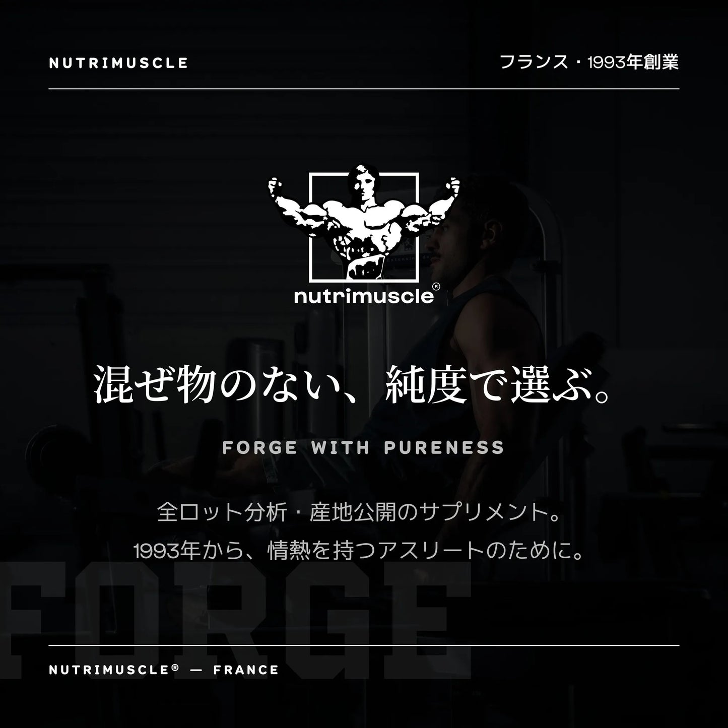 L-グルタミン パウダー - Nutrimuscle Japan