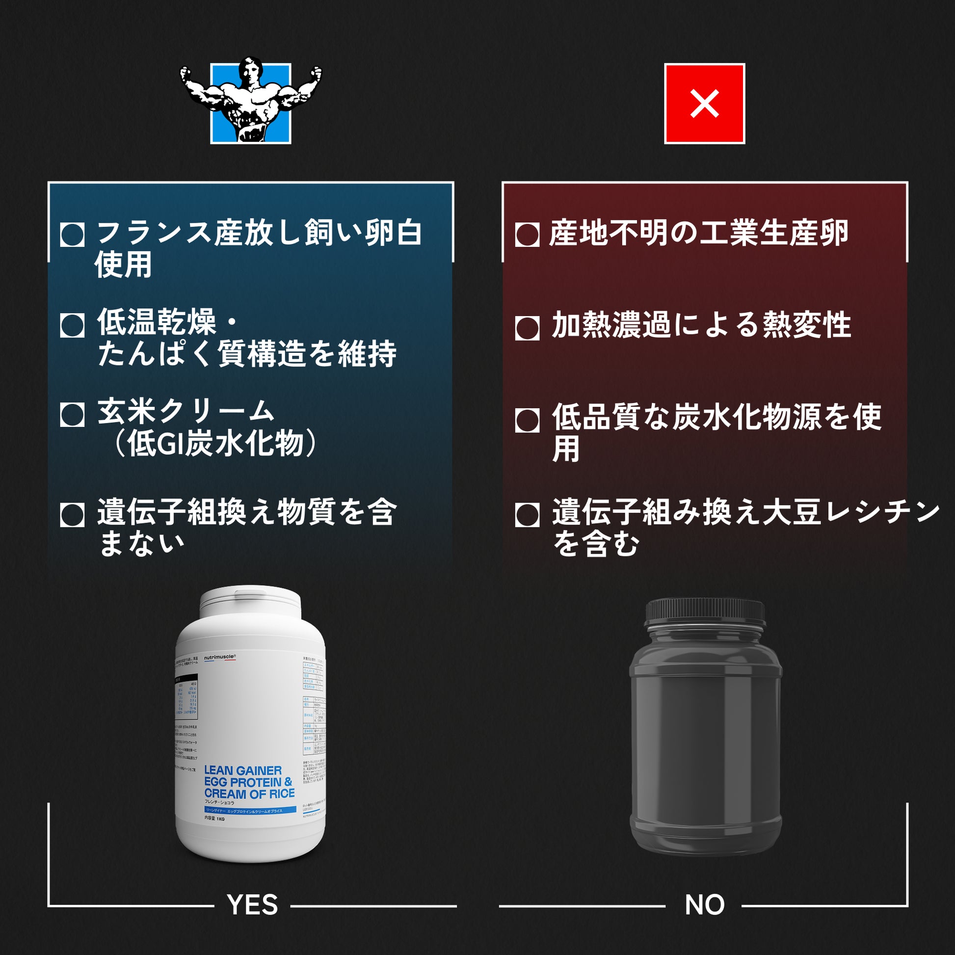 リーンゲイナー エッグプロテイン＆クリームオブライス