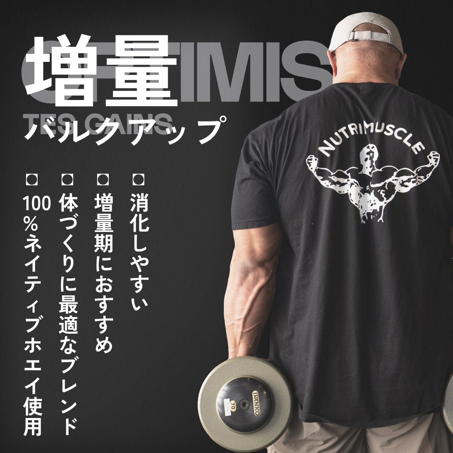 マッスルマス（ハードゲイナー）