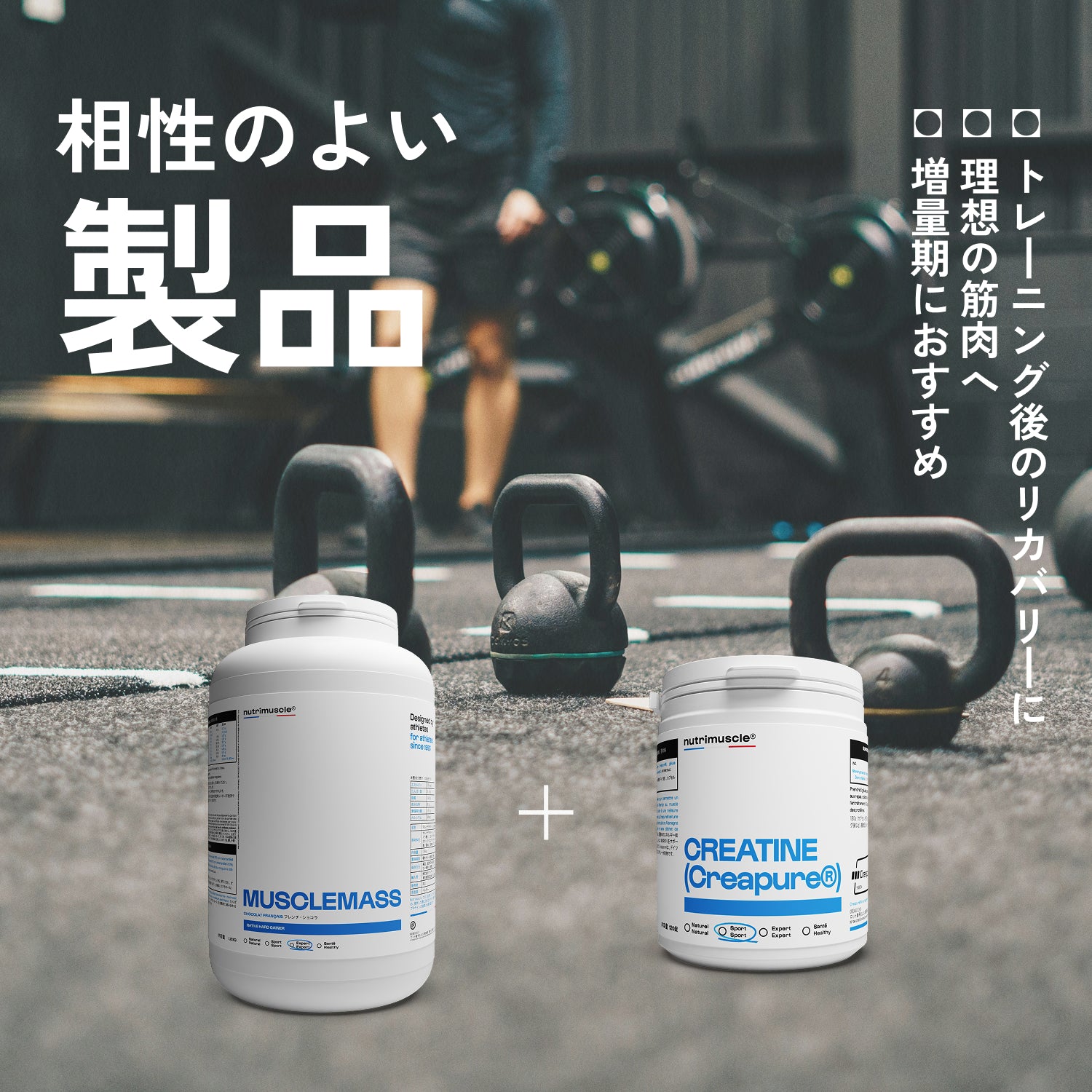 マッスルマス（ハードゲイナー）