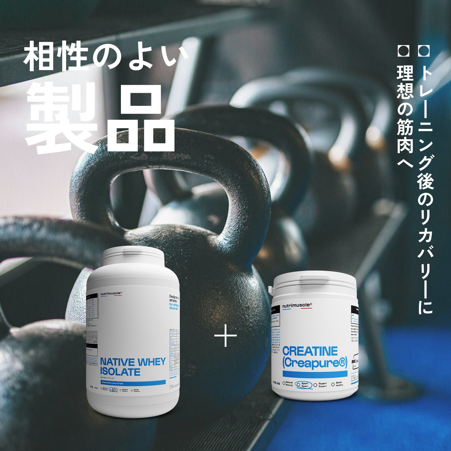 ホエイ アイソレート(WPI)｜低乳糖・仏牧草牛 – Nutrimuscle Japan