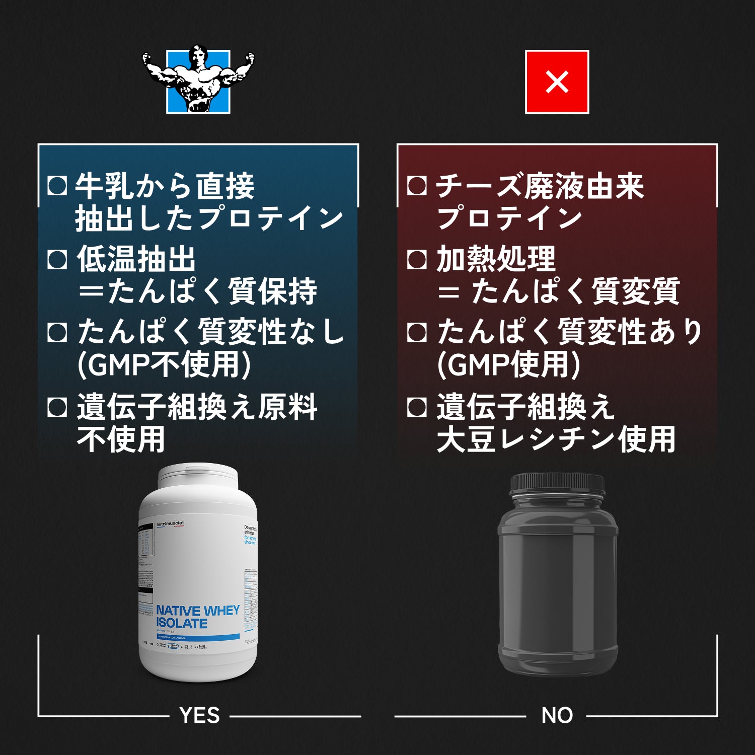 ホエイアイソレート ネイティブ ホエイ アイソレート｜低乳糖・フランス牧草牛