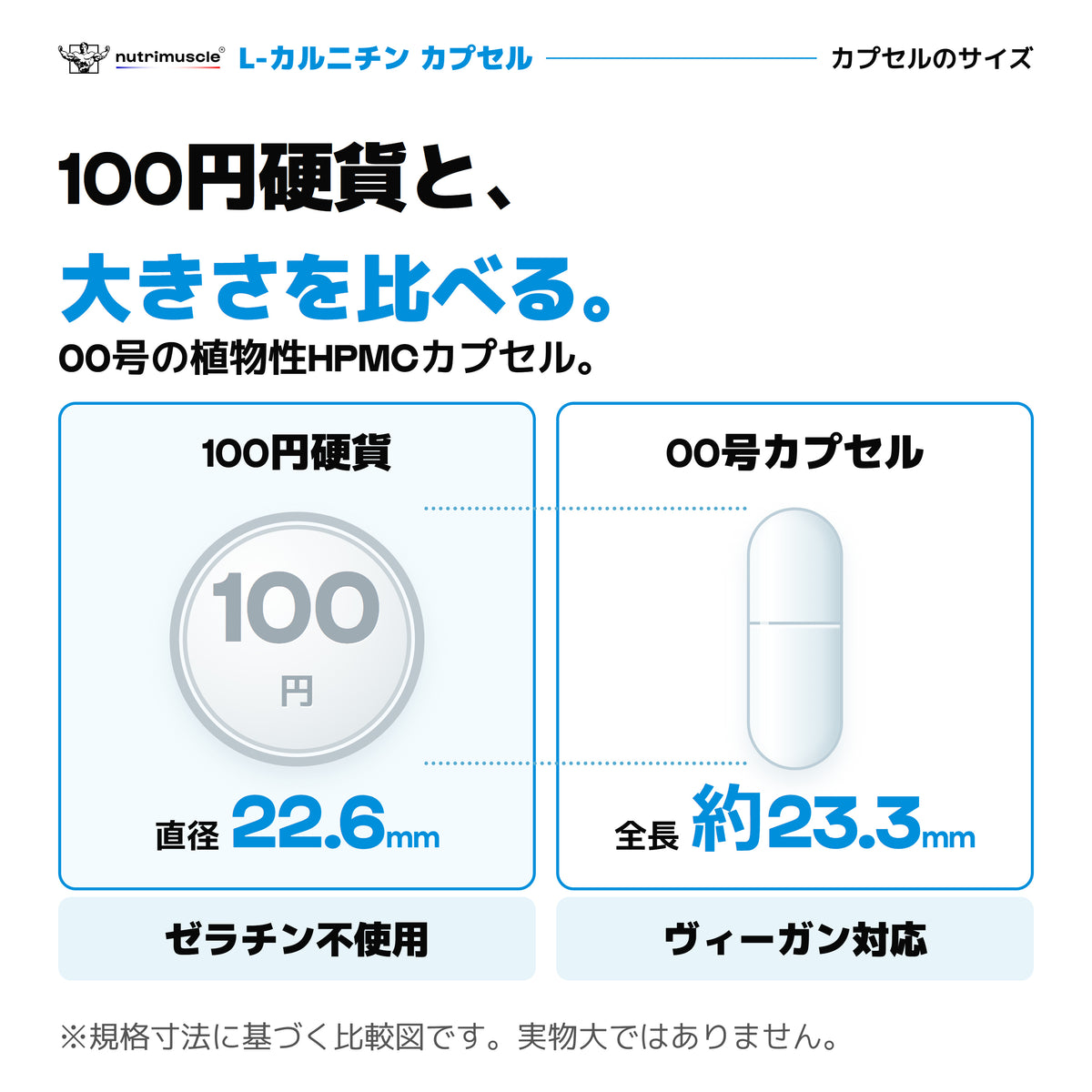 カルニチンは00号の植物性HPMCカプセル。100円硬貨の直径22.6mmと、カプセルの規格上の長さ約23.3mmを比較。ゼラチン不使用、ヴィーガン対応。画面上の実寸ではありません。