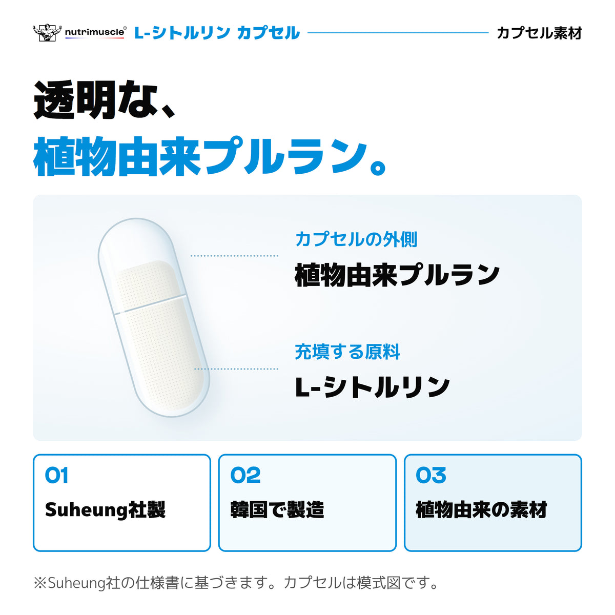 L-シトルリン カプセルの素材。植物由来プルランの外側とL-シトルリンの中身を示す模式図。Suheung社製、韓国製造。