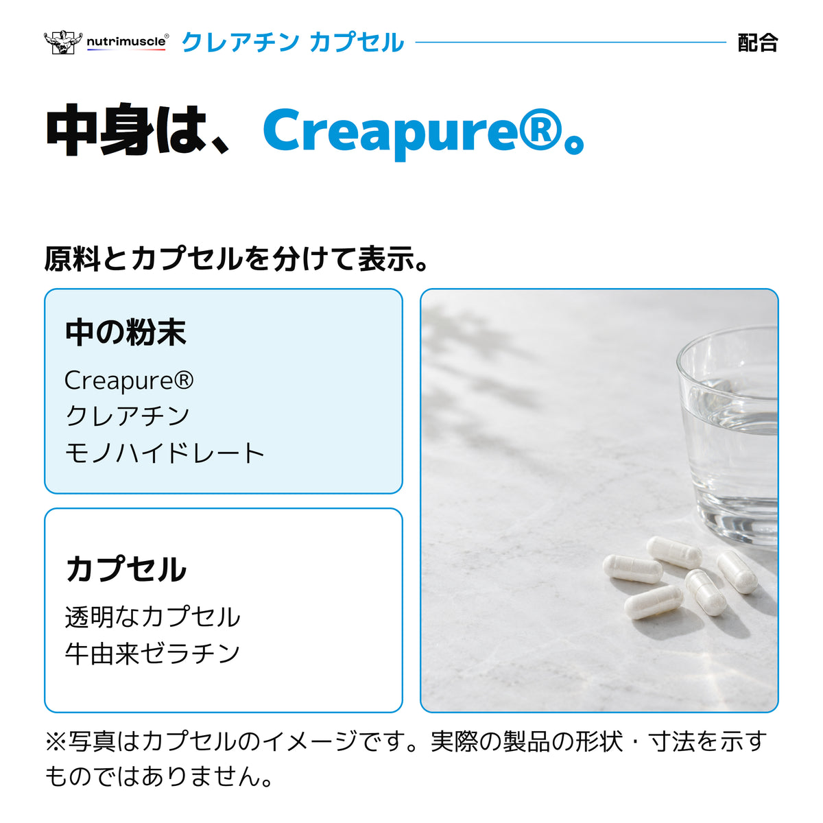 Creapure®クレアチン粉末と透明な牛由来ゼラチンカプセルの構成