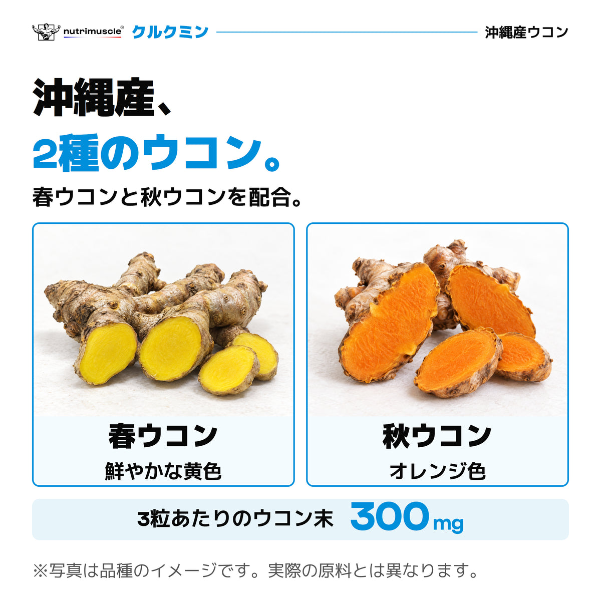沖縄産の春ウコンと秋ウコン。春ウコンは黄色、秋ウコンはオレンジ色。3粒あたりウコン末300mg。写真は品種のイメージ。