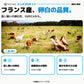 エッグ プロテイン パウダー｜フランス産、卵白の品質。放し飼いの卵白を、IGRECAから。※画像はイメージです。 - Nutrimuscle Japan