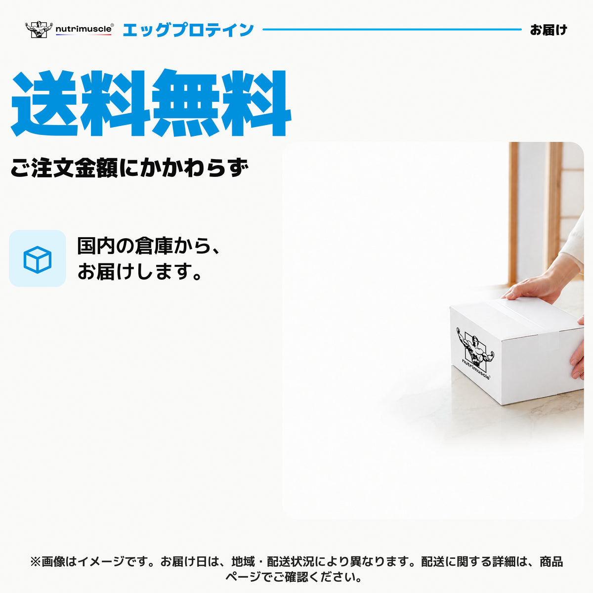 エッグ プロテイン パウダー｜送料無料、ご注文金額にかかわらず。国内の倉庫から、お届けします。 - Nutrimuscle Japan