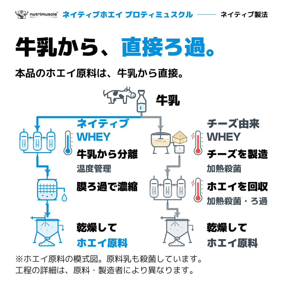 プロティミュスクルのホエイ原料。牛乳から分離・濃縮・乾燥するネイティブ製法と、チーズ製造を経る製法の模式図。温度管理と加熱殺菌の工程を表示。