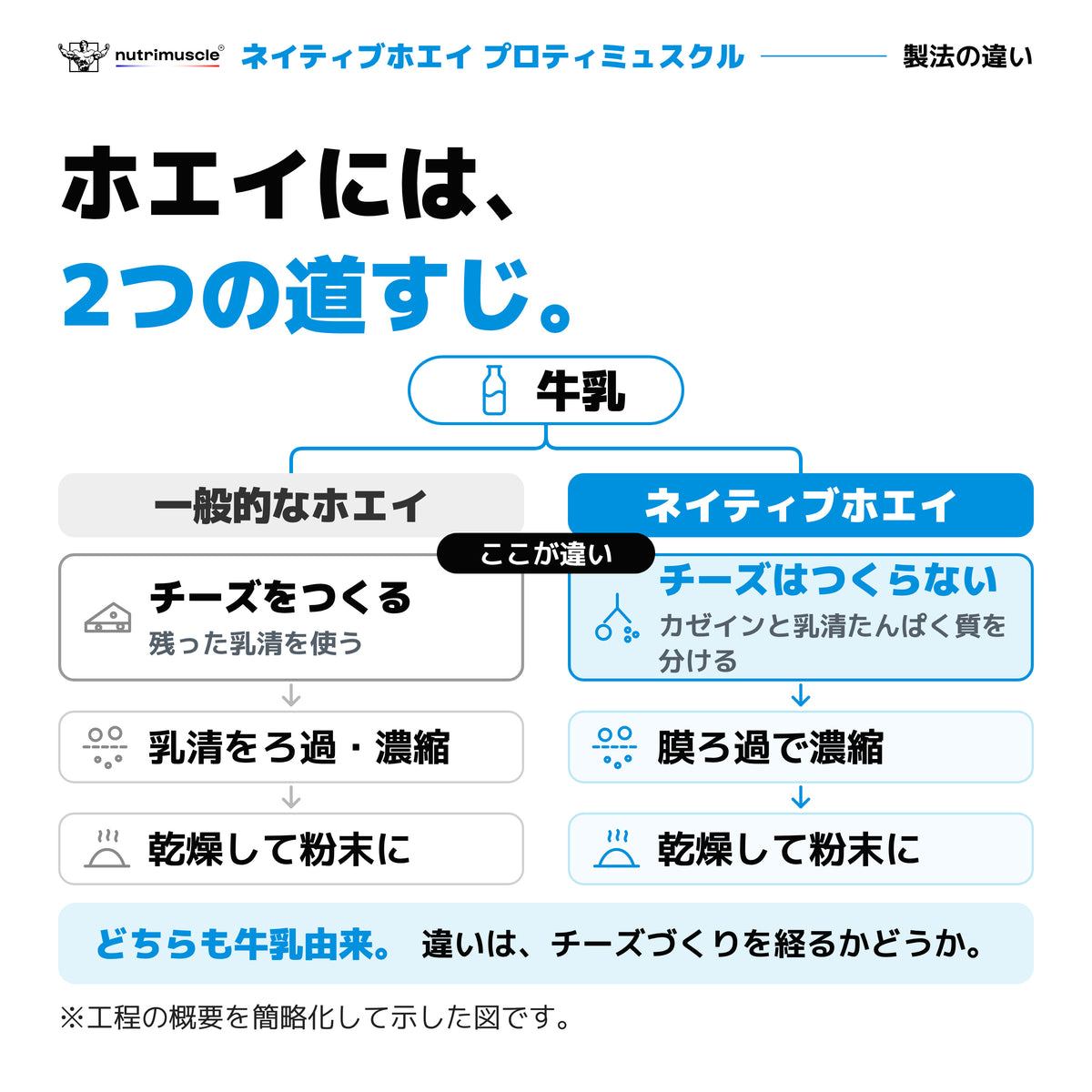 ネイティブホエイ プロティミュスクル｜一般的なホエイとネイティブホエイ、2つの製造経路