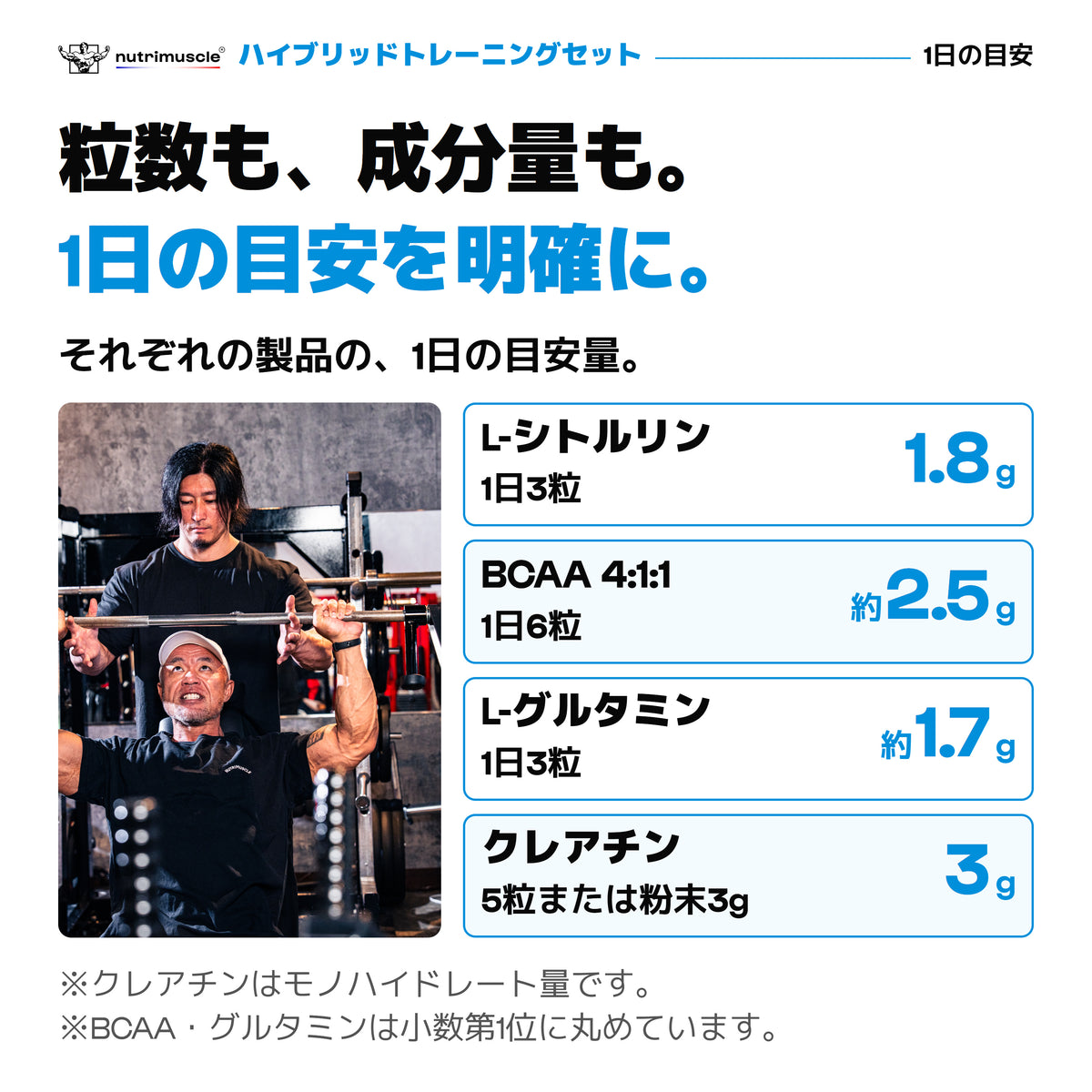 Hybridセットの1日の目安。シトルリン3粒で1.8g、BCAA6粒で約2.5g、グルタミン3粒で約1.7g。クレアチンモノハイドレートは5粒または粉末3gで3g。