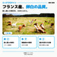 エッグ プロテイン パウダー｜フランス産、卵白の品質。放し飼いの卵白を、IGRECAから。※画像はイメージです。 - Nutrimuscle Japan