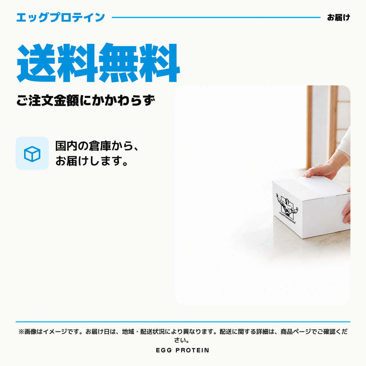 エッグ プロテイン パウダー｜送料無料、ご注文金額にかかわらず。国内の倉庫から、お届けします。 - Nutrimuscle Japan